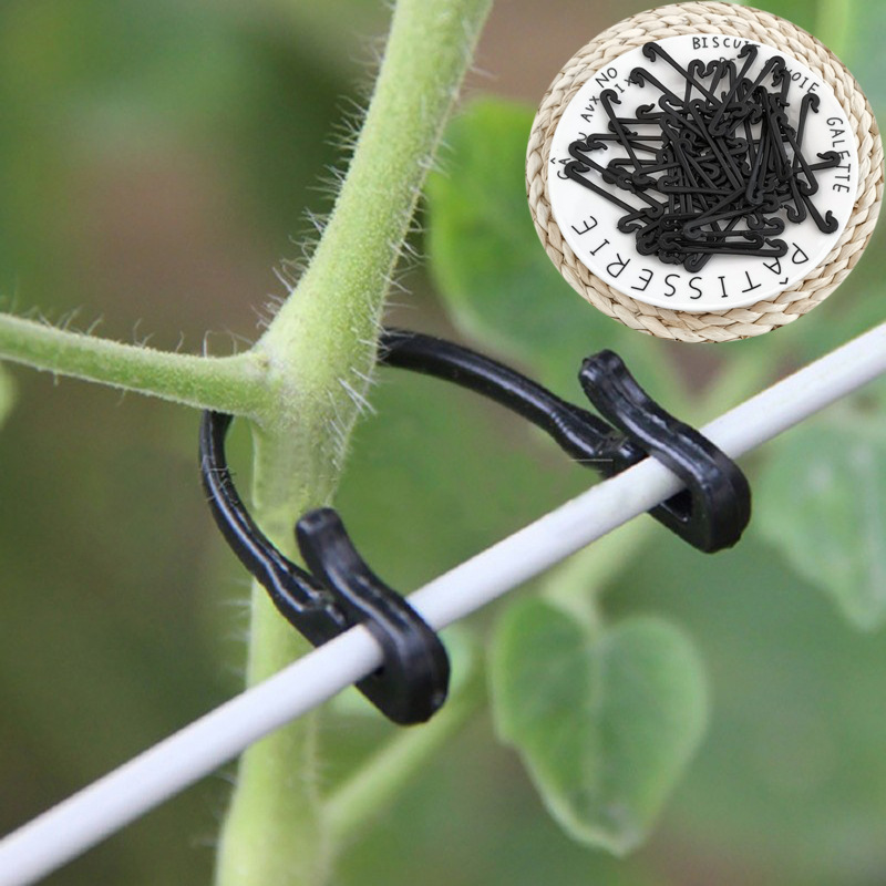 Gardening Tools For Vines - 50 قطعة فاينز السحابة مقاطع مربوطة