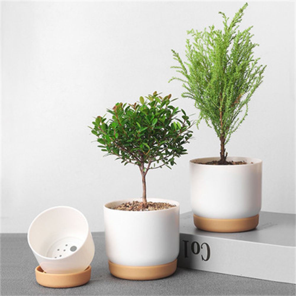 Orchid Potting Mix - وعاء زهور دائري أخضر للنباتات مع