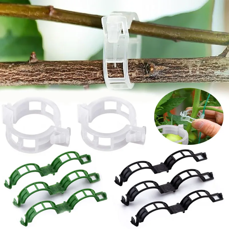 Gardening Tools For Vines - 100 قطعة مقاطع تثبيت النباتات قابلة