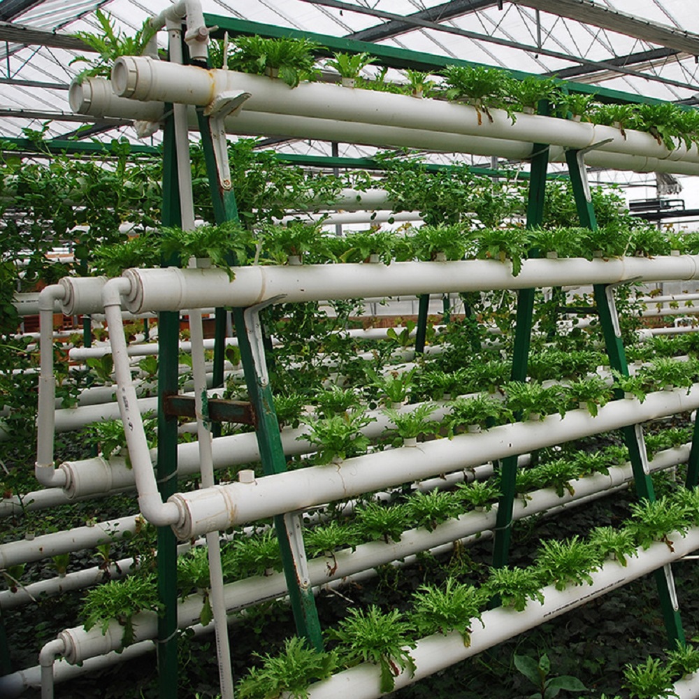 الصانع معدات الزراعة بدون تربة - مراجعة Vertical Wall Planter وسعره