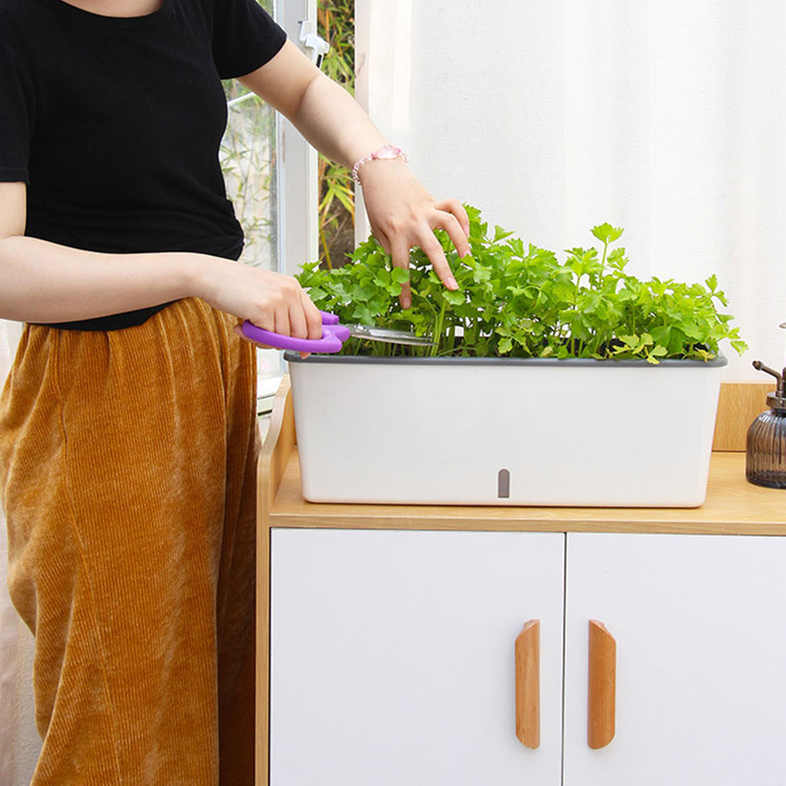 أوعية زراعة ذاتية السقي مع مؤش - مراجعة Vertical Wall Planter وسعره