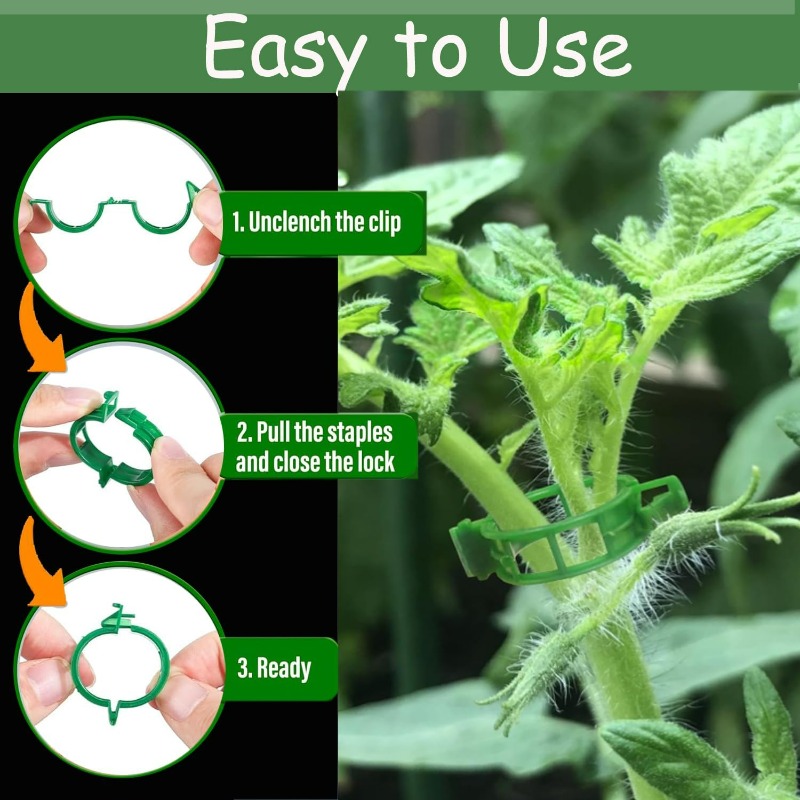 10/600 قطعة مشابك بلاستيكية لد - مراجعة Gardening Tools For Vines وسعره