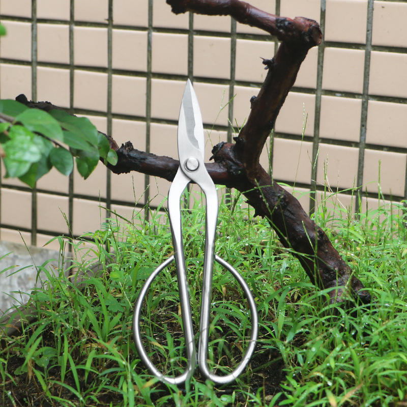 مقصات حديقة من الفولاذ بالكامل - مراجعة Gardening Tools Japanese وسعره