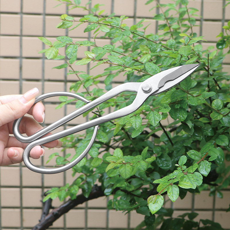 مقصات حديقة من الفولاذ بالكامل - مراجعة Gardening Tools Japanese وسعره