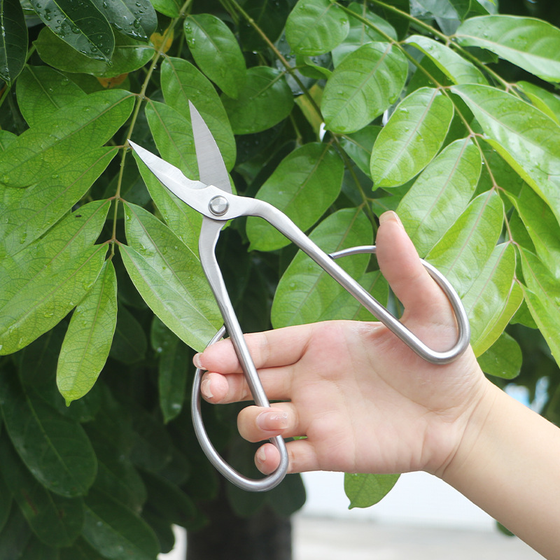 مقصات حديقة من الفولاذ بالكامل - مراجعة Gardening Tools Japanese وسعره