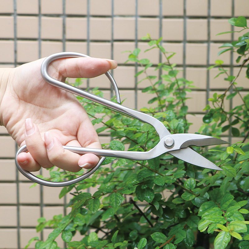 مقصات حديقة من الفولاذ بالكامل - مراجعة Gardening Tools Japanese وسعره