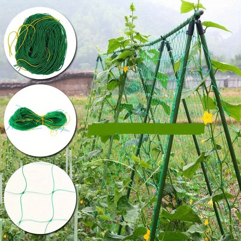 قطعتان من شبكة تسلق النباتات،  - مراجعة Gardening Tools For Vines وسعره