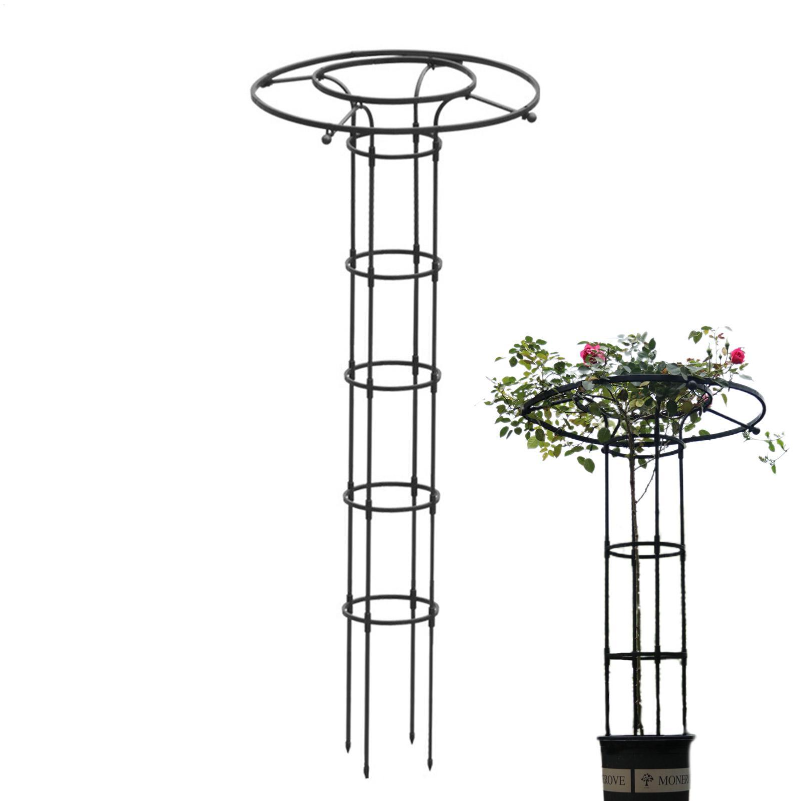 دعامة نباتات متسلقة للحديقة عل - مراجعة Vertical Wall Planter وسعره