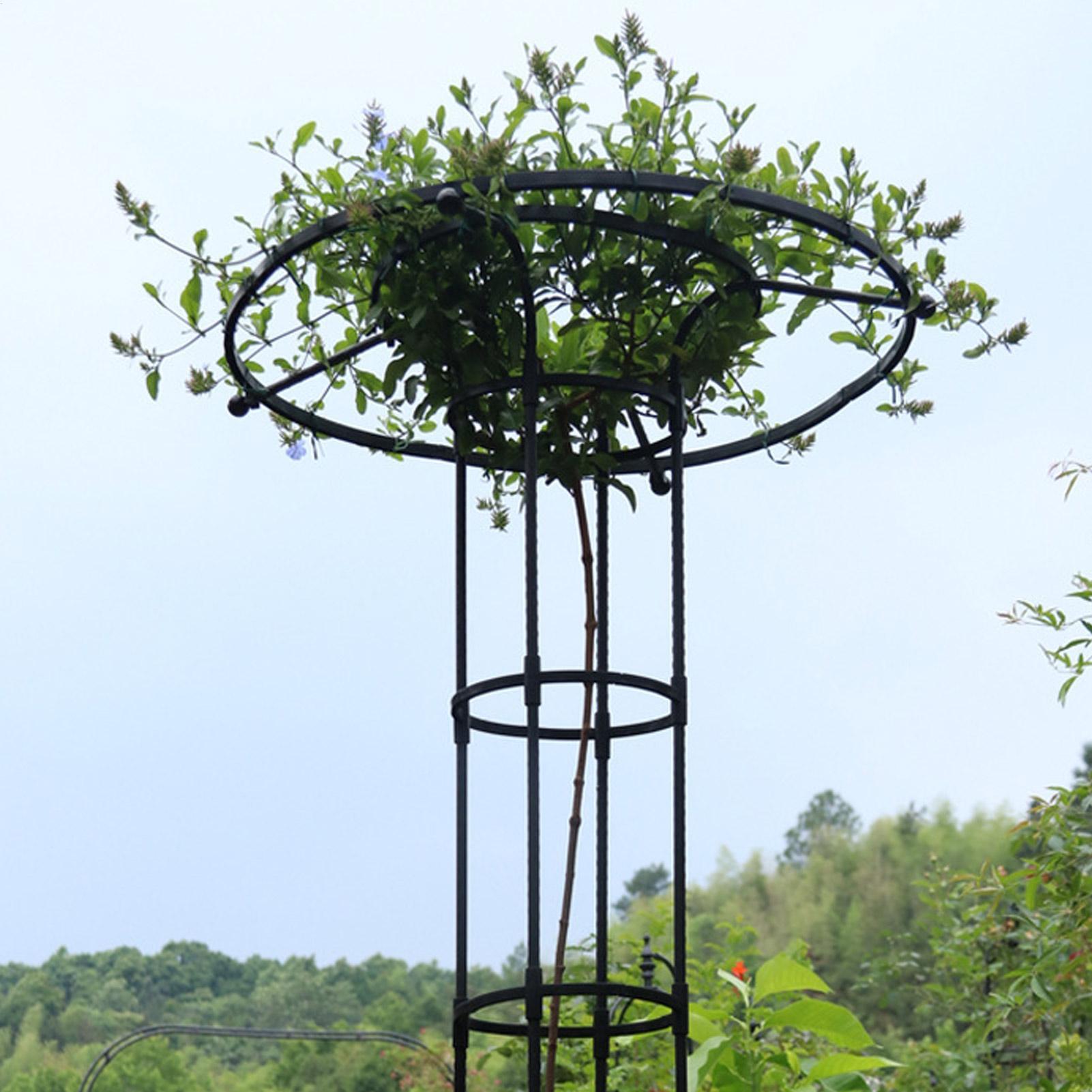 دعامة نباتات متسلقة للحديقة عل - مراجعة Vertical Wall Planter وسعره