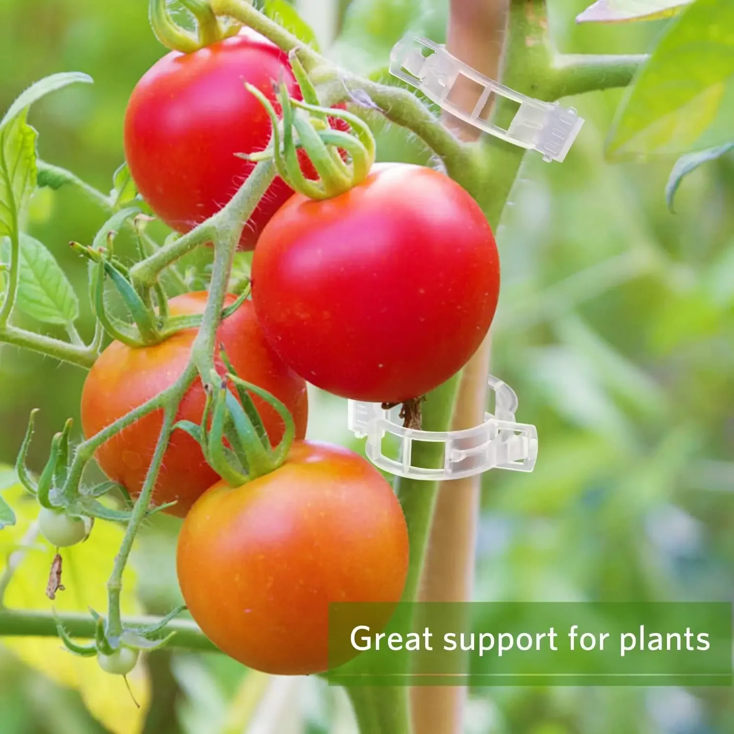 مشابك دعم النباتات قابلة لإعاد - مراجعة Gardening Tools For Vines وسعره