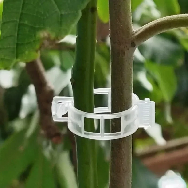 مشابك دعم النباتات قابلة لإعاد - مراجعة Gardening Tools For Vines وسعره