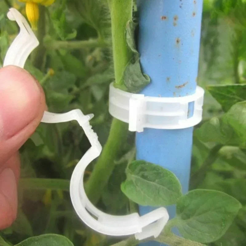 مشابك دعم النباتات قابلة لإعاد - مراجعة Gardening Tools For Vines وسعره