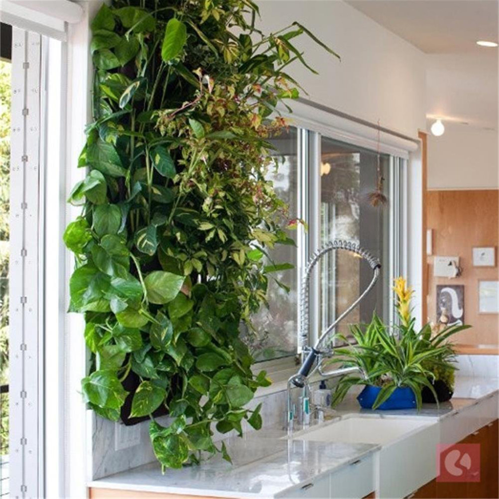 حقيبة زراعة عمودية معلقة على ا - مراجعة Vertical Wall Planter وسعره
