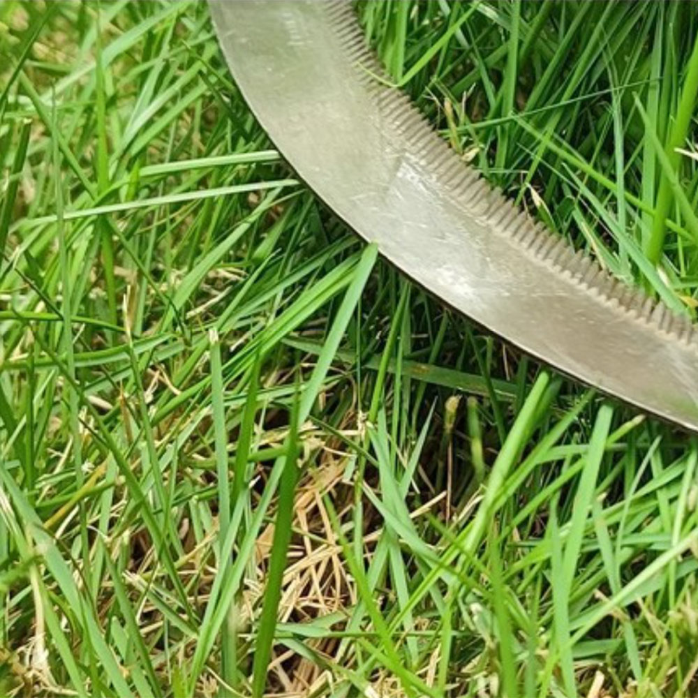 أداة زراعية من الفولاذ المقاوم - مراجعة Gardening Tools Australia وسعره