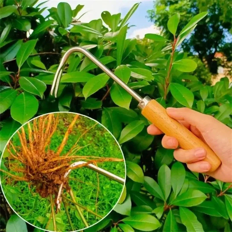الفولاذ المقاوم للصدأ البستنة  - مراجعة Gardening Tools Japanese وسعره