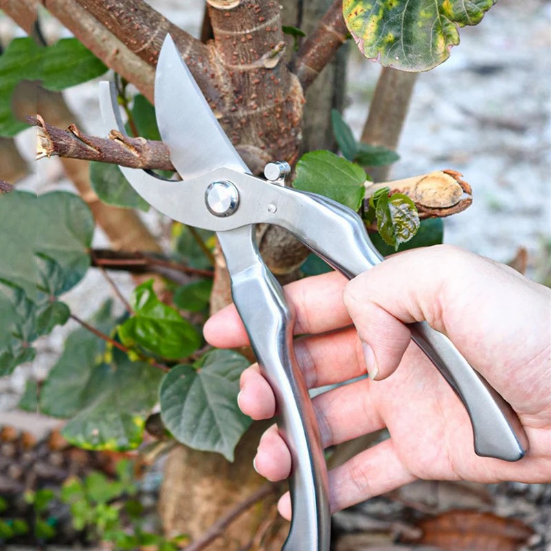 مقص تقليم احترافي مصنوع بالكام - مراجعة Gardening Tools Japanese وسعره