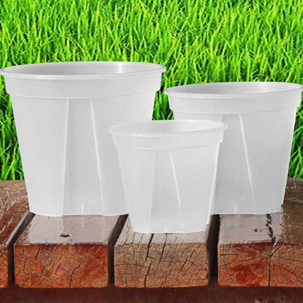 أواني بلاستيكية شفافة أواني زه - مراجعة Orchid Potting Mix وسعره