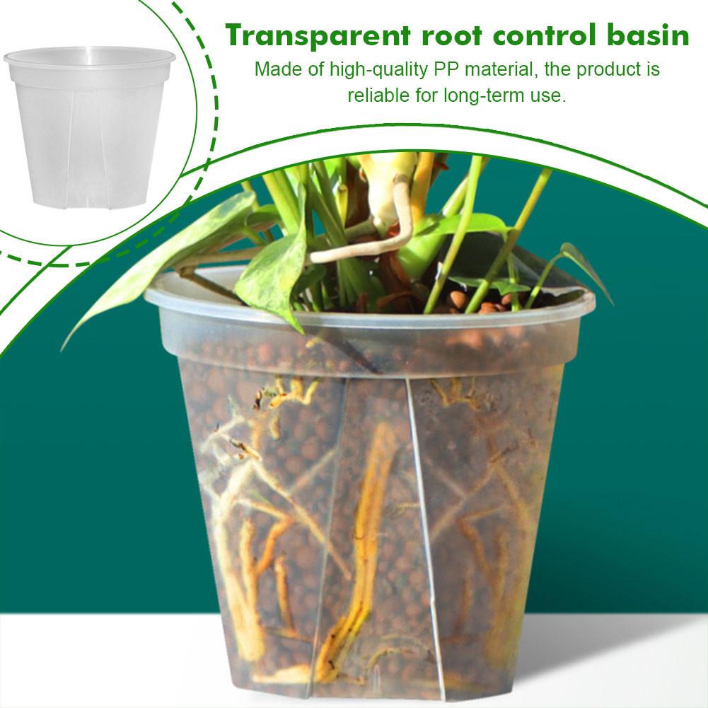 أواني بلاستيكية شفافة أواني زه - مراجعة Orchid Potting Mix وسعره