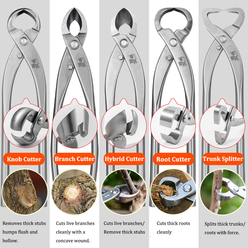مجموعة أدوات بونساي فاخرة من ا - مراجعة Gardening Tools Australia وسعره