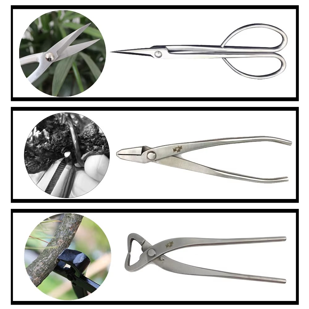 مجموعة أدوات بونساي فاخرة من ا - مراجعة Gardening Tools Australia وسعره