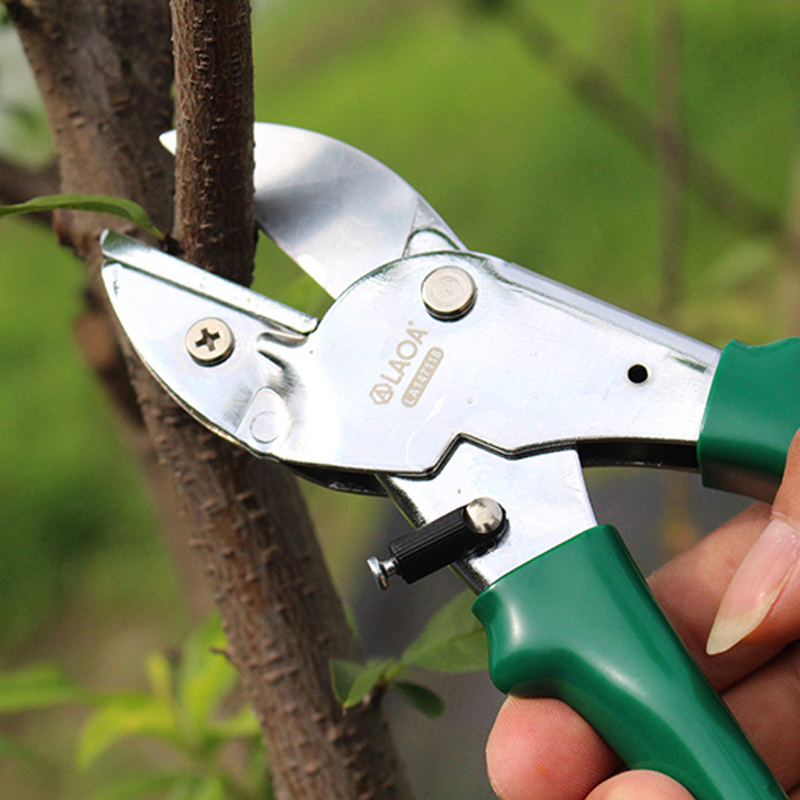 مقصات تشذيب LAOA SK5 مقاس 8 بو - مراجعة Gardening Tools Japanese وسعره
