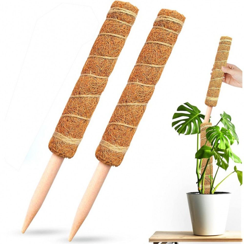 موضة انفصال القطب الطحلب لزاوي - مراجعة Gardening Tools For Vines وسعره