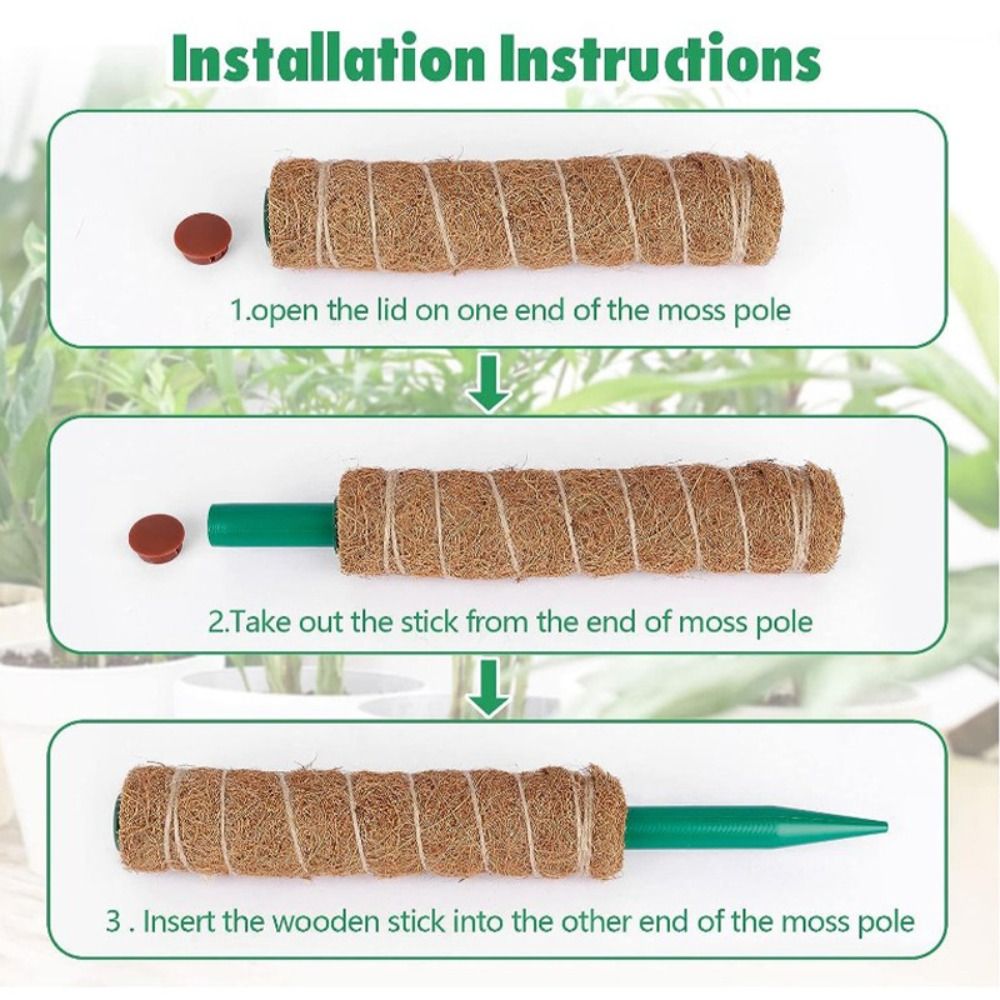 موضة انفصال القطب الطحلب لزاوي - مراجعة Gardening Tools For Vines وسعره