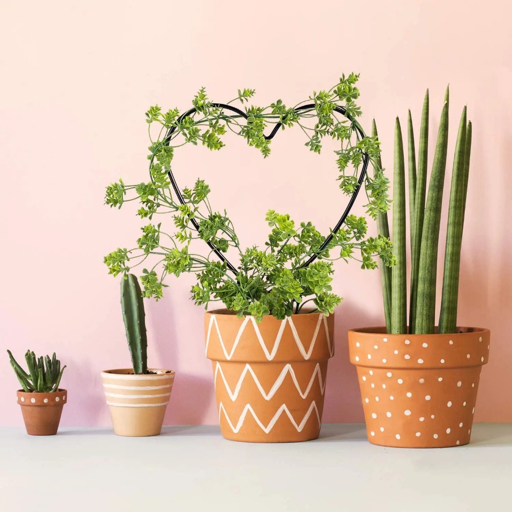 1 قطعة دعم النبات حديقة حصة حا - مراجعة Gardening Tools Australia وسعره
