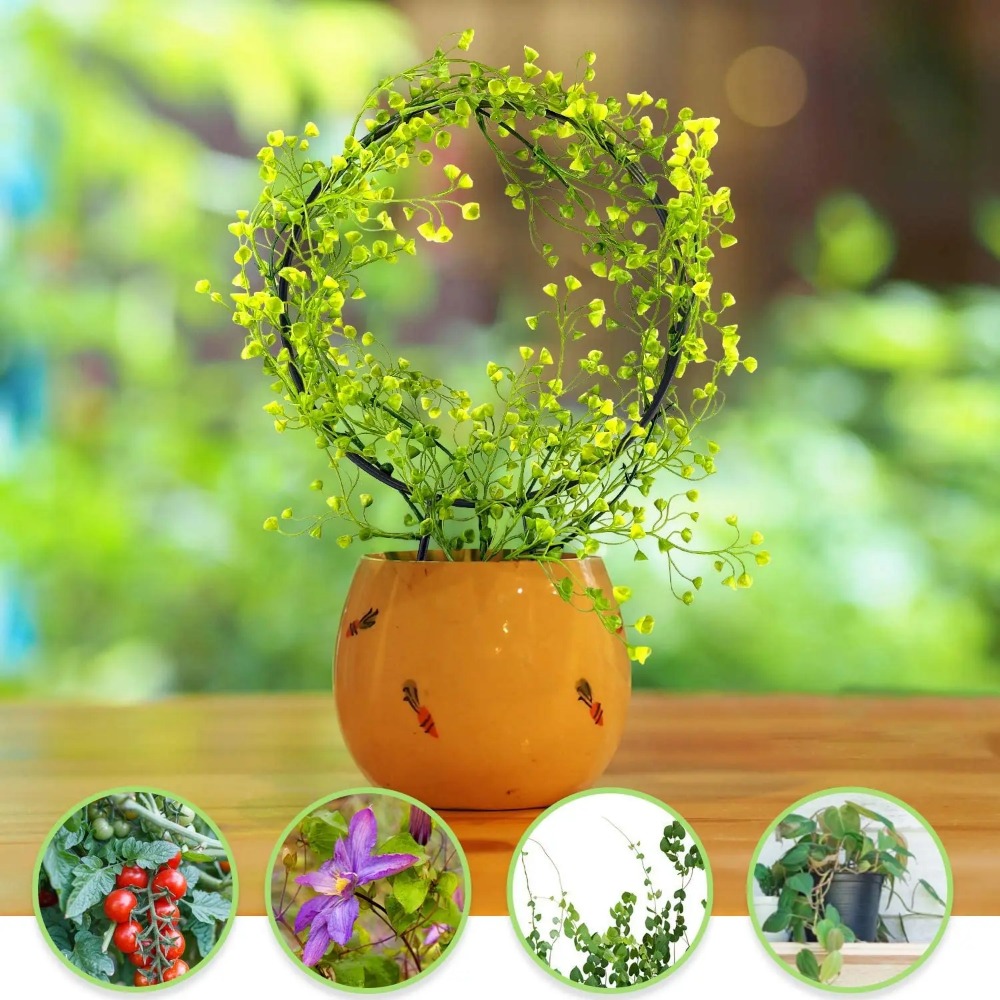 1 قطعة دعم النبات حديقة حصة حا - مراجعة Gardening Tools Australia وسعره