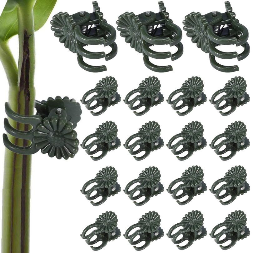 مشابك نباتات للتطعيم ، مشبك ال - مراجعة Gardening Tools For Vines وسعره