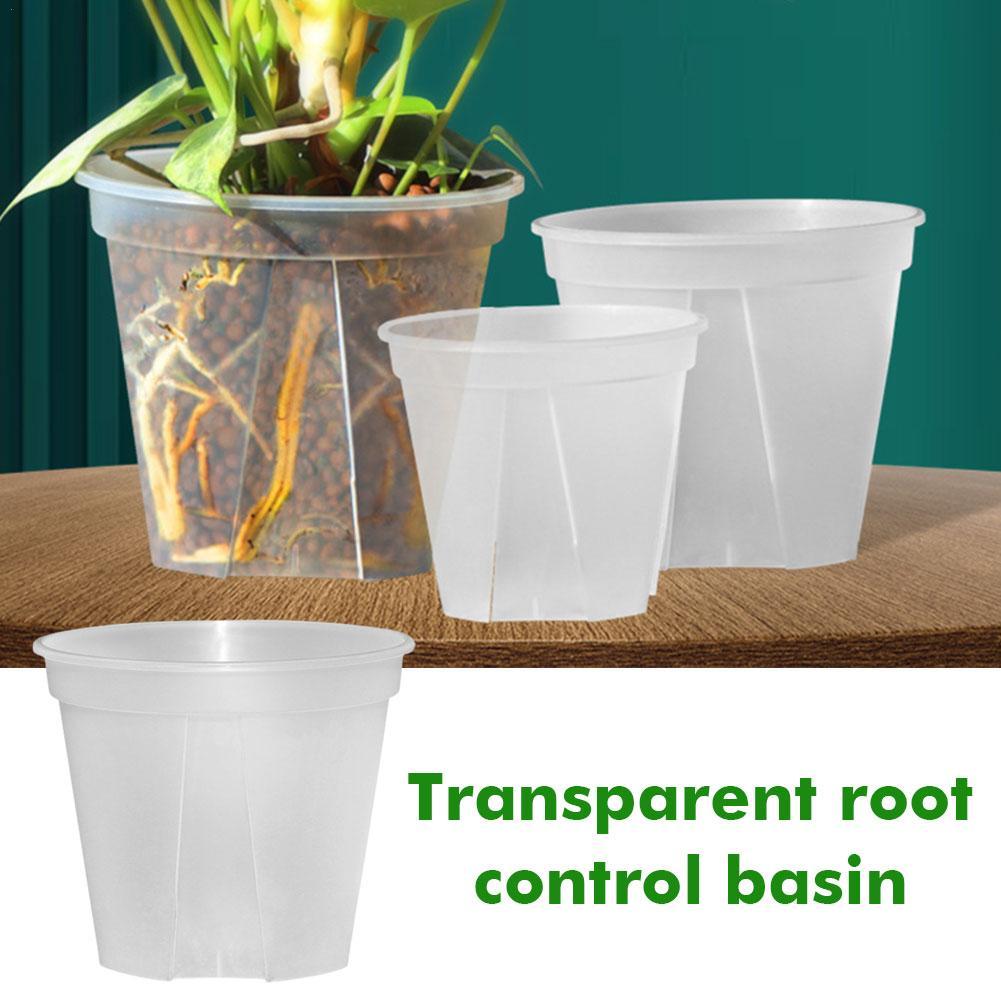 الأواني البلاستيكية الشفافة أو - مراجعة Orchid Potting Mix وسعره