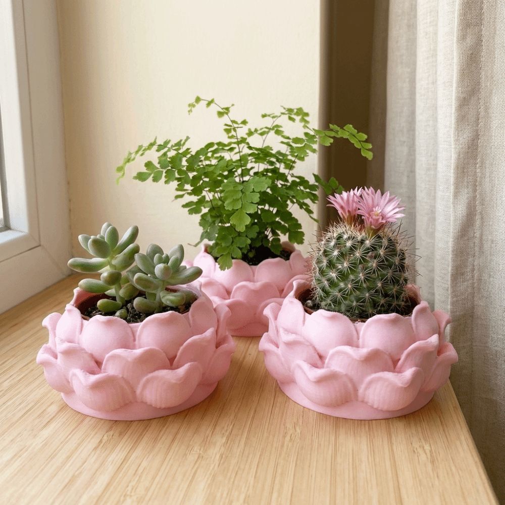 وعاء نباتات عصارية على شكل زهر - مراجعة Vertical Wall Planter وسعره