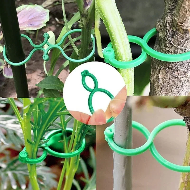 مشابك بلاستيكية لربط نباتات ال - مراجعة Gardening Tools For Vines وسعره
