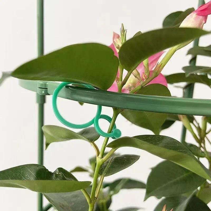 مشابك بلاستيكية لربط نباتات ال - مراجعة Gardening Tools For Vines وسعره