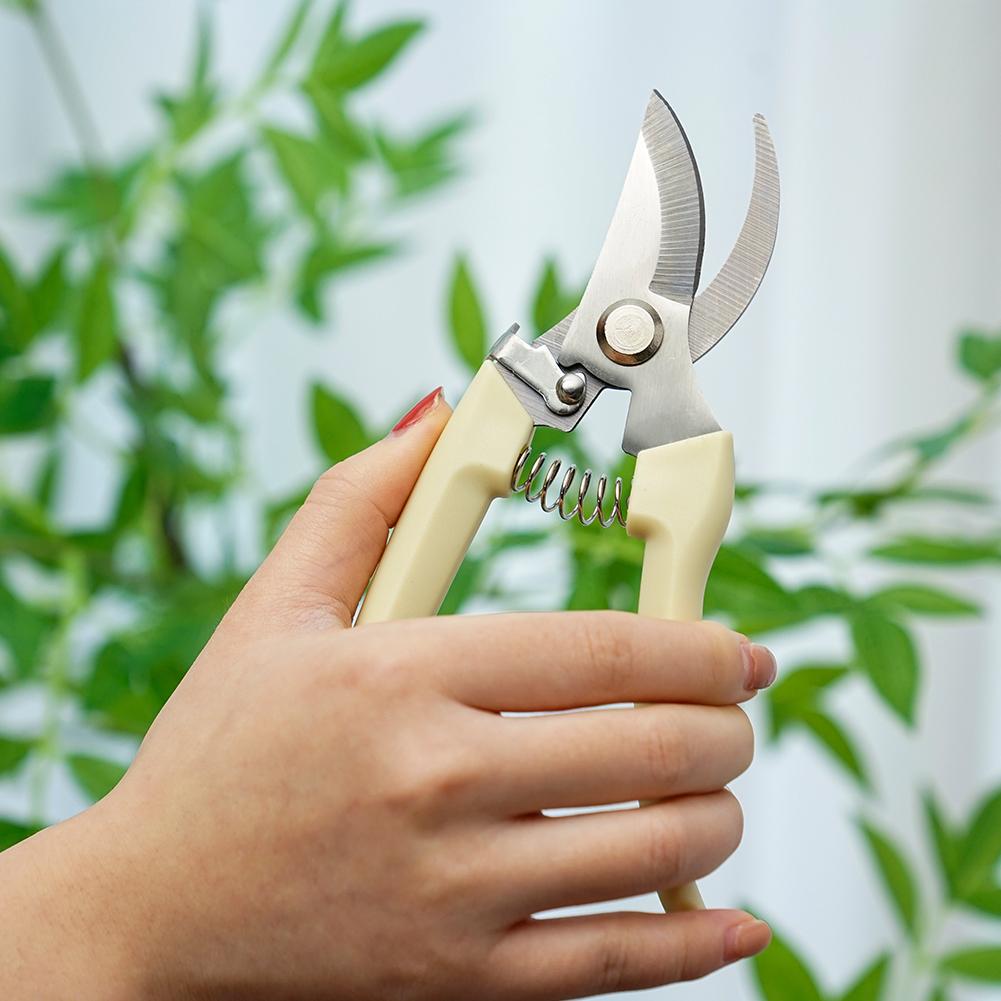 مقص حدائق للنباتات، مقص يدوي ل - مراجعة Gardening Tools Australia وسعره