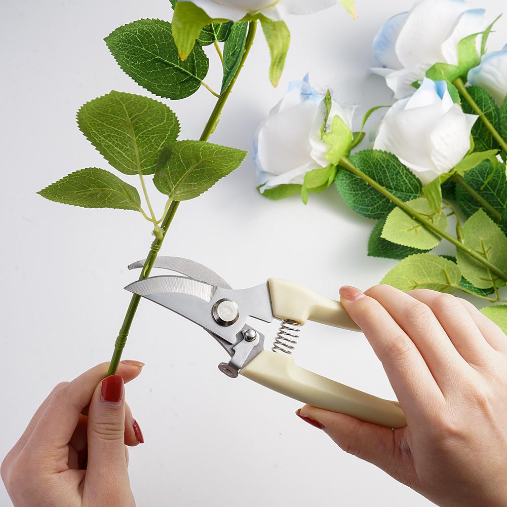 مقص حدائق للنباتات، مقص يدوي ل - مراجعة Gardening Tools Australia وسعره