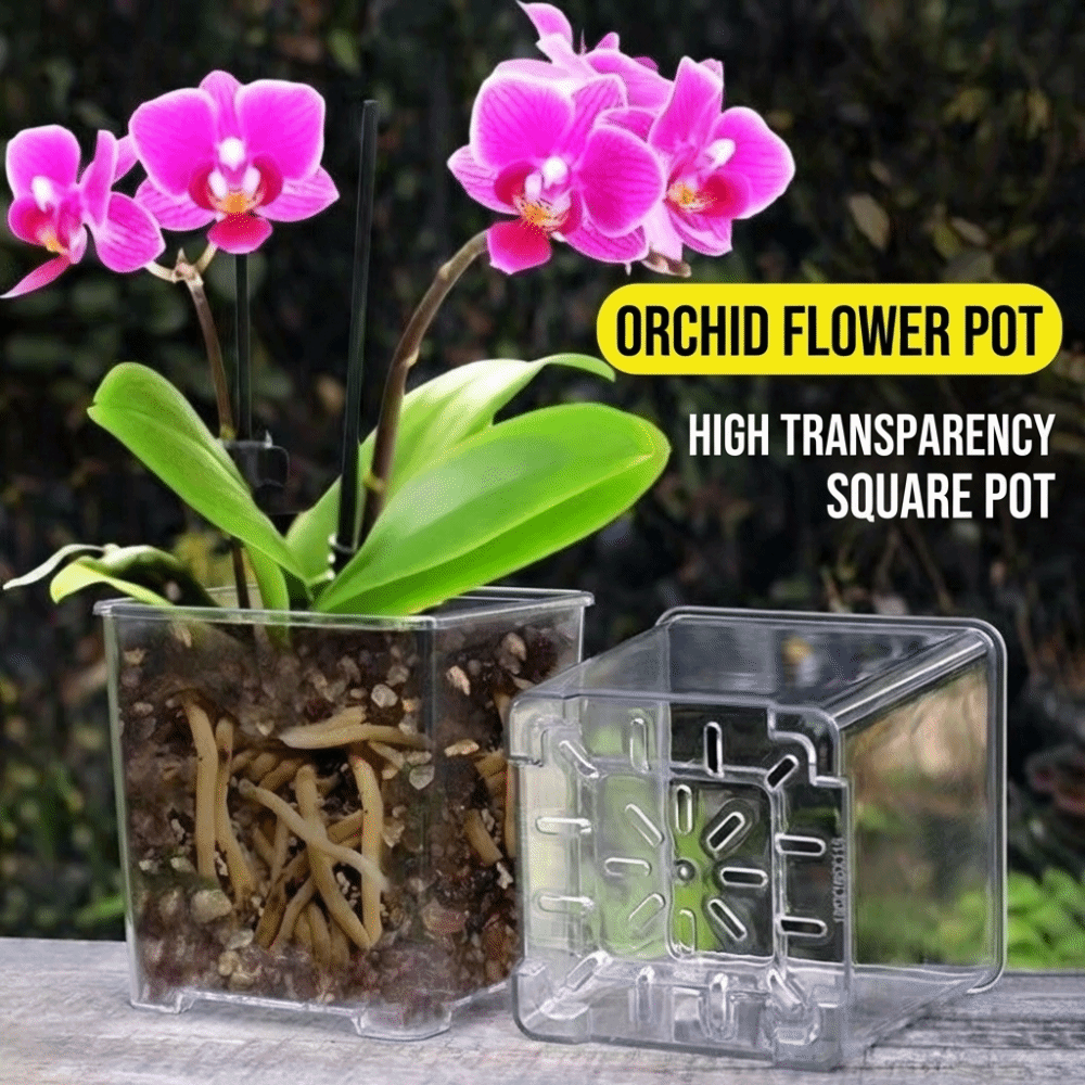 وعاء زراعة شفاف من الأكريليك م - مراجعة Orchid Potting Mix وسعره