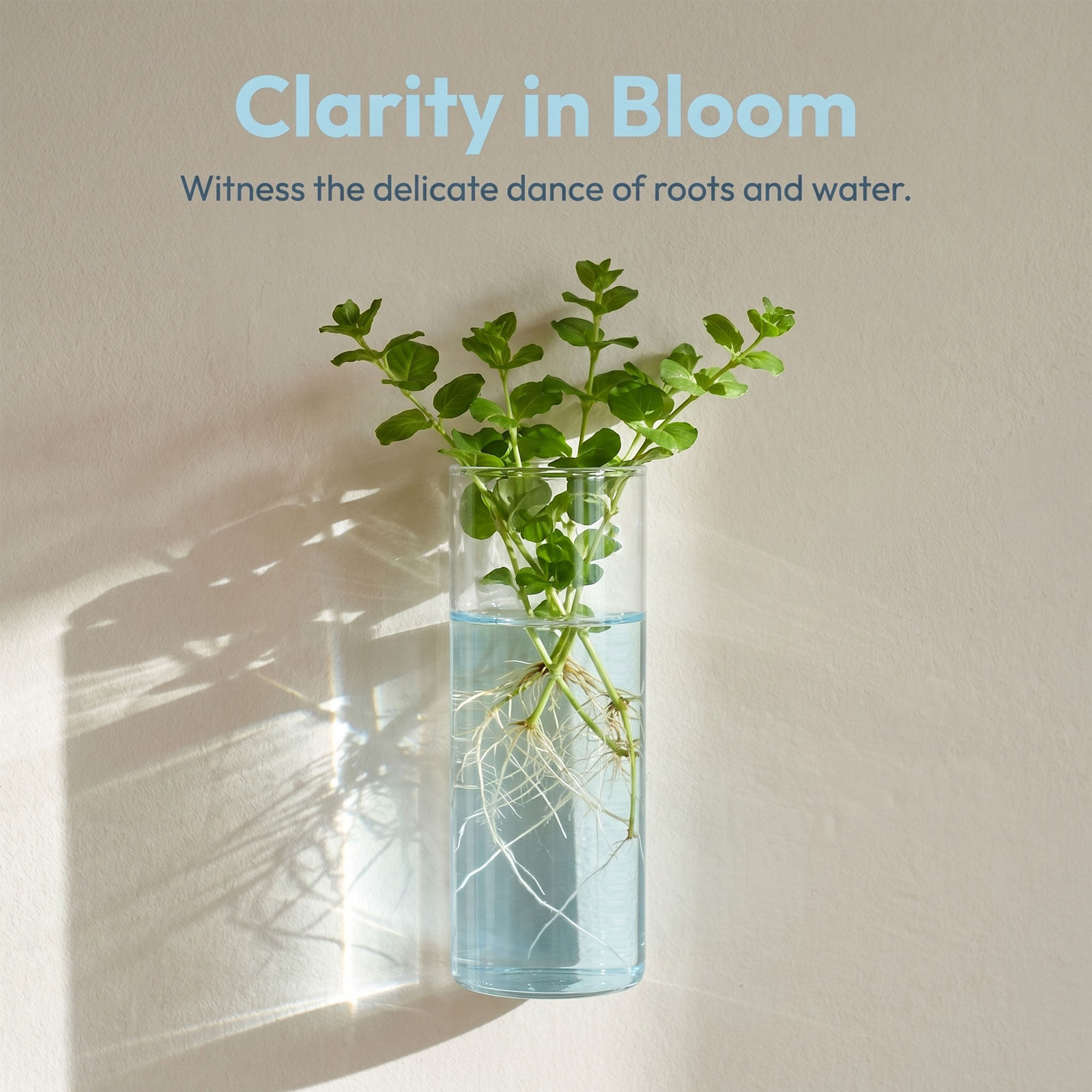 5 قطع من أنابيب الزجاج الأسطوا - مراجعة Vertical Wall Planter وسعره
