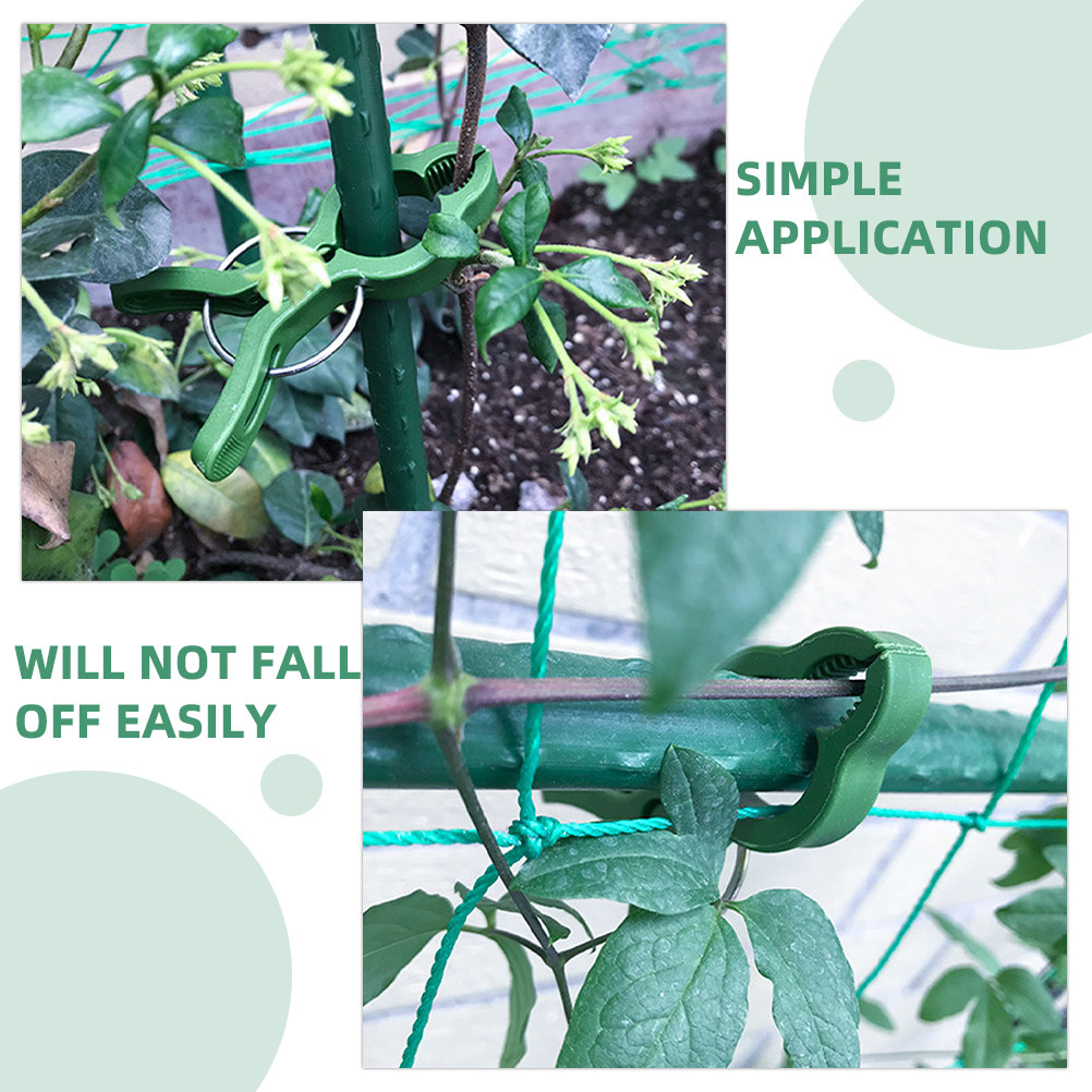60 قطعة من مشابك تثبيت النباتا - مراجعة Gardening Tools For Vines وسعره