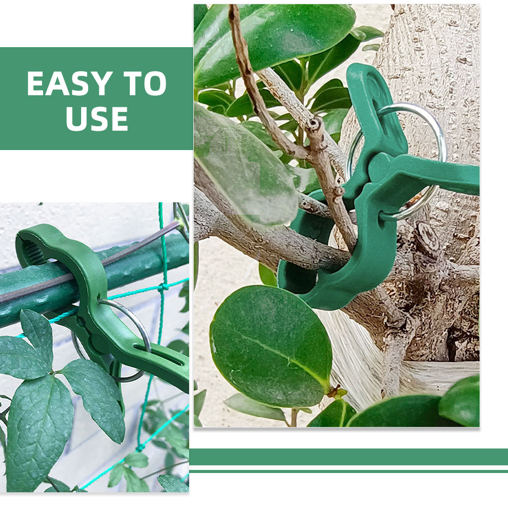 60 قطعة من مشابك تثبيت النباتا - مراجعة Gardening Tools For Vines وسعره