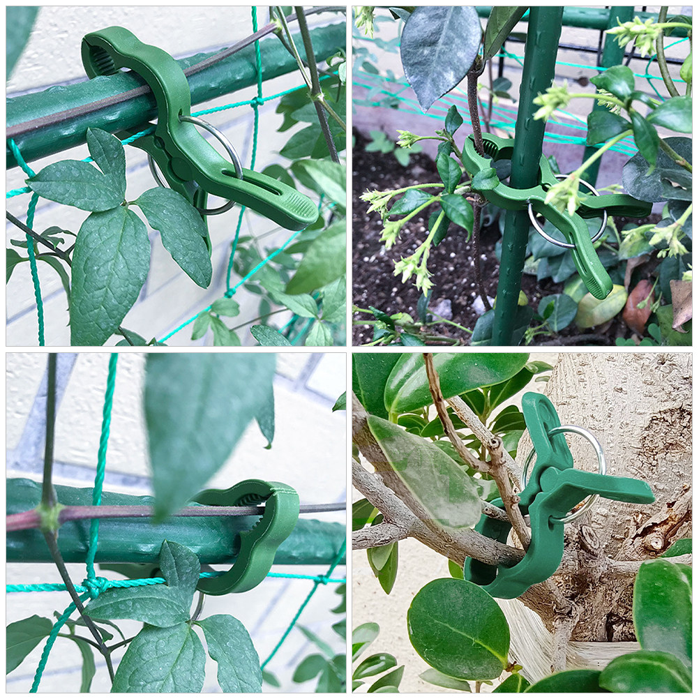 60 قطعة من مشابك تثبيت النباتا - مراجعة Gardening Tools For Vines وسعره